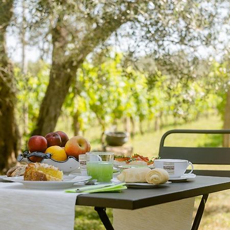 B&B Vallecupa Farnese Экстерьер фото