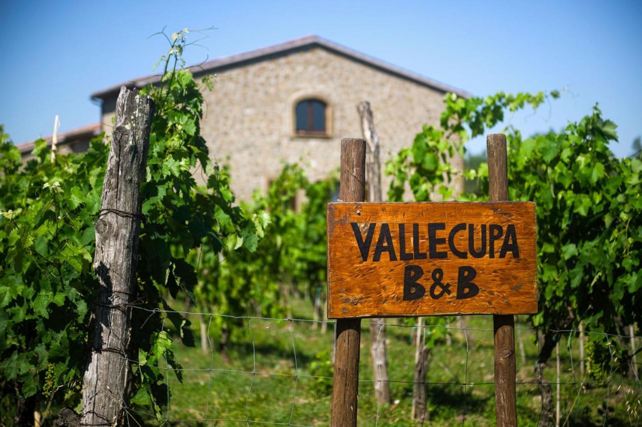 B&B Vallecupa Farnese Экстерьер фото