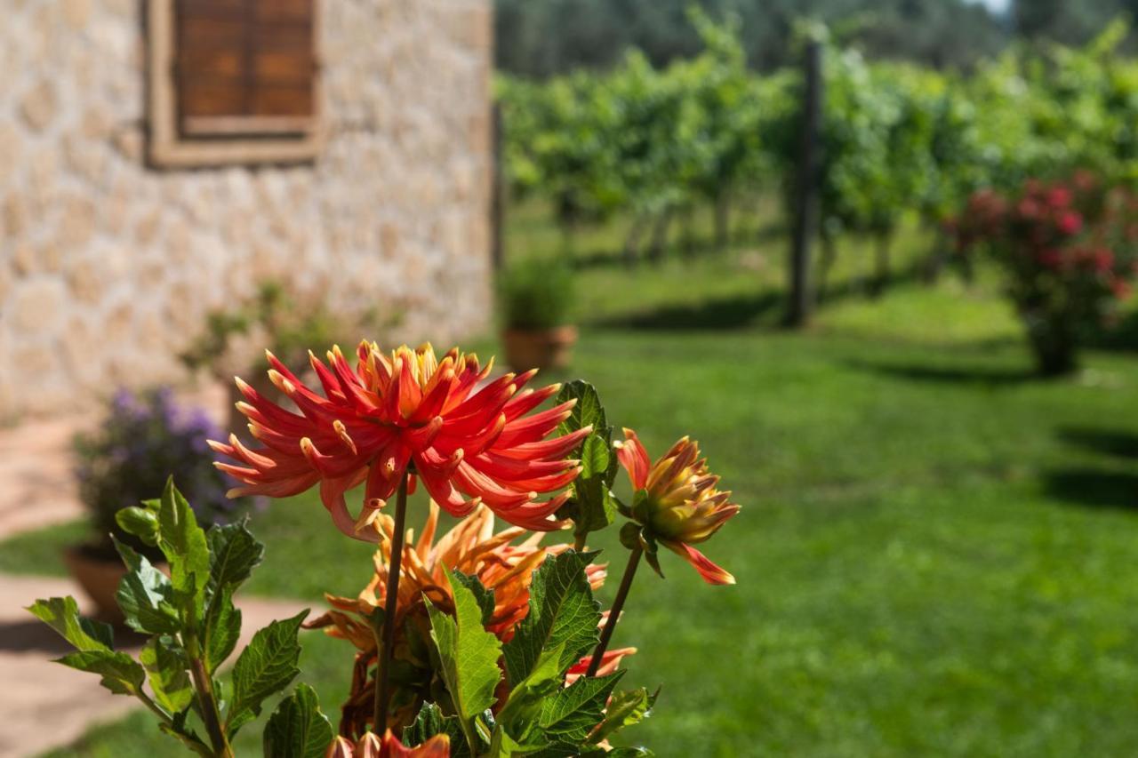 B&B Vallecupa Farnese Экстерьер фото
