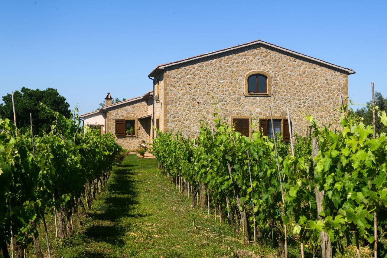 B&B Vallecupa Farnese Экстерьер фото